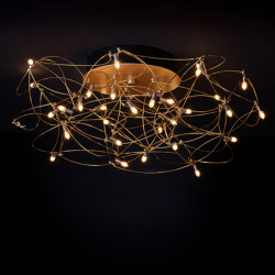 Curled Wall/Ceiling | Wall lights | Quasar
