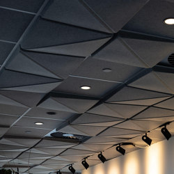 3D-Deckenplatten - Geformte Deckenplatte | Sound absorbing ceiling systems | Autex Acoustics