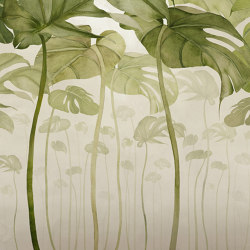 Monstera | Wall coverings / wallpapers | WallPepper