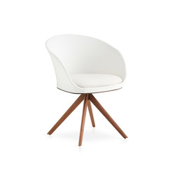 Blum Dining armchair with solid wood legs | Chairs | Expormim