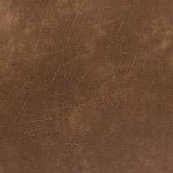 Carrara | Maple | Faux leather | Morbern Europe