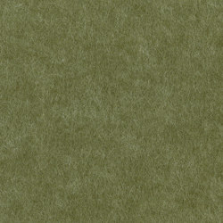 EchoPanel® Align 384 | Colour green | Woven Image