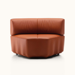 DS-808 | Armchairs | de Sede