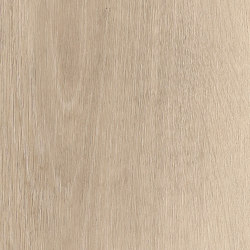 Signature Woods - 1,0 mm | Clowes Oak | Synthetic panels | Amtico