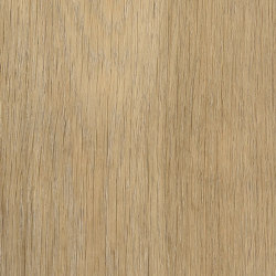Signature Woods - 1,0 mm | Buxton Oak | Synthetic panels | Amtico