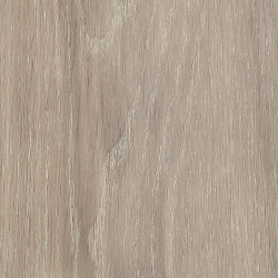 Signature Woods - 1,0 mm | Ashdown Oak | Synthetic panels | Amtico
