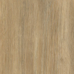 Signature Woods - 1,0 mm | Darley Oak | Synthetic tiles | Amtico