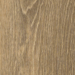 Signature Woods - 1,0 mm | Whinlatter Oak | Synthetic tiles | Amtico