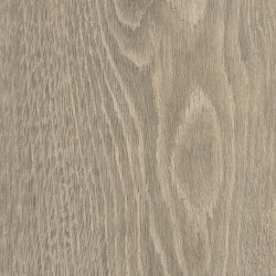 Signature Woods - 1,0 mm | Tollymore Oak | Synthetic panels | Amtico