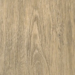 Signature Woods - 1,0 mm | Hamsterley Oak | Synthetic panels | Amtico