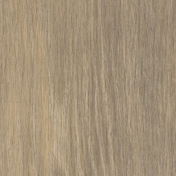 Signature Woods - 1,0 mm | Kirby Oak | Synthetic panels | Amtico