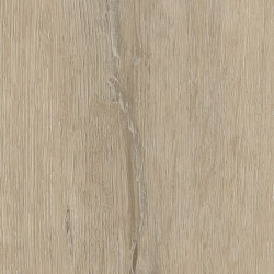 Signature Woods - 1,0 mm | Buckingham Oak | Synthetic panels | Amtico