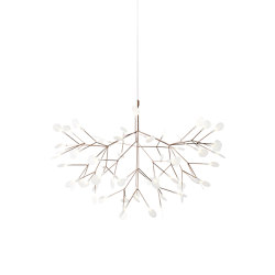 Heracleum III Suspended, Large, Copper | Suspended lights | moooi