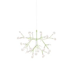 Heracleum III Suspended, Small, Green | Suspended lights | moooi