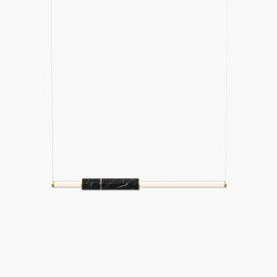 Light Pipe | S 58—04 - Brushed Brass - Black | Suspended lights | Empty State