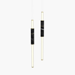 Light Pipe | S 58—05 - Brushed Brass - Black | Suspended lights | Empty State