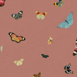 Feathers EV.FE.2 | Wall coverings / wallpapers | Agena