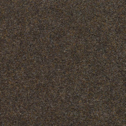 Finett G.T. 2000 | 4202 | Wall-to-wall carpets | Findeisen