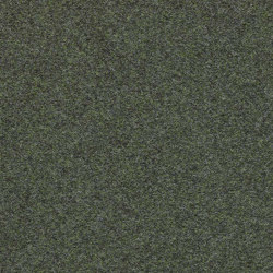 Finett G.T. 2000 | 6402 | Wall-to-wall carpets | Findeisen