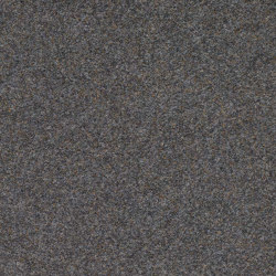 Finett G.T. 2000 | 8602 | Wall-to-wall carpets | Findeisen