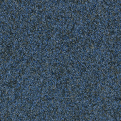 Reval® borago 534 | Colour blue | Fabromont AG