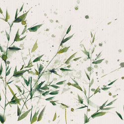 Bamboom Green | Revêtements muraux / papiers peint | TECNOGRAFICA