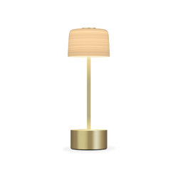 Hemisphere Lamp Natural Brass | Tischleuchten | Voltra Lighting