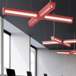 Ziggi Lighting System | Plus | Lampade sospensione | Studio Beam