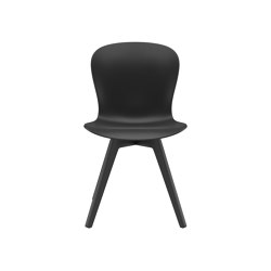 Adelaide Chair D065 | Stühle | BoConcept