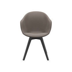 Silla Adelaide D066 | Chairs | BoConcept