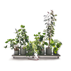 Planting Cart | Plant pots | UnternehmenForm