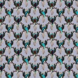 Sapphirine Birds |  PP1.01.2 FF | Wall coverings / wallpapers | YO2