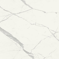 Scultorea | Statuario Vena Argento 120x120 | Piastrelle ceramica | Marca Corona