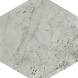 Scultorea | Foam Grey 25x21,6 | Ceramic flooring | Marca Corona