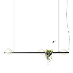 Palma 3736 Hanging lamp | Suspended lights | Vibia