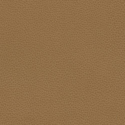 Promessa | Buttered Toffee | Effect leather | Ultrafabrics