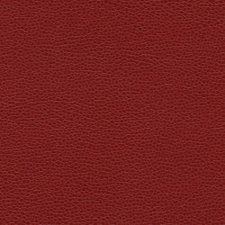 Promessa | Rumba Red | Upholstery fabrics | Ultrafabrics