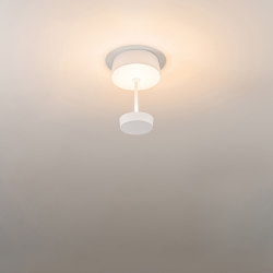 Swap 230V wall-ceiling lamp