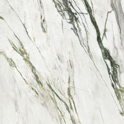 Purity of Marble Elite Green Calacatta | Ceramic tiles | Ceramiche Supergres