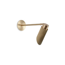 Spot Pro | Wallwash - 250 Arm - Satin Brass | Lámparas de pared | J. Adams & Co