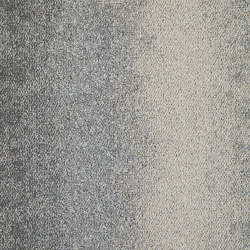 Connected Ethos 200
4316013 Consider/Survey | Carpet tiles | Interface