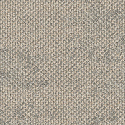 Dry Bark 2529001 Desert Neutral | Carpet tiles | Interface