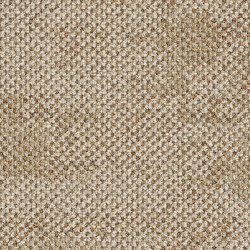 Dry Bark 2529003 Saltwater Neutral | Carpet tiles | Interface