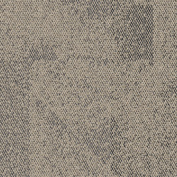 Paver
8337204 Haze | Carpet tiles | Interface