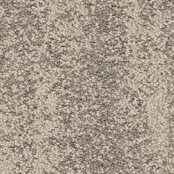Sandbank 2528003 Rainforest | Carpet tiles | Interface