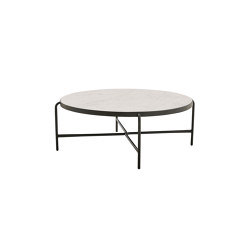 Palm M Low Coffee Table
