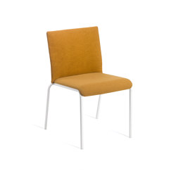 Teckel | Stühle | Gaber