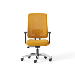 Denzel | Office chairs | FREZZA
