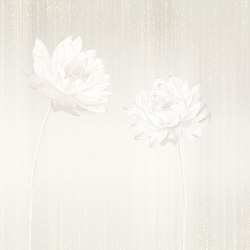 Ame FR001-1 | Wall coverings / wallpapers | RIMURA