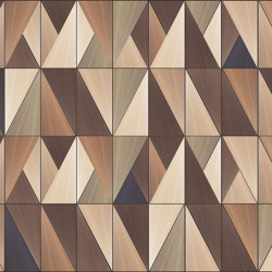 Antares VE017-1 | Wall coverings / wallpapers | RIMURA